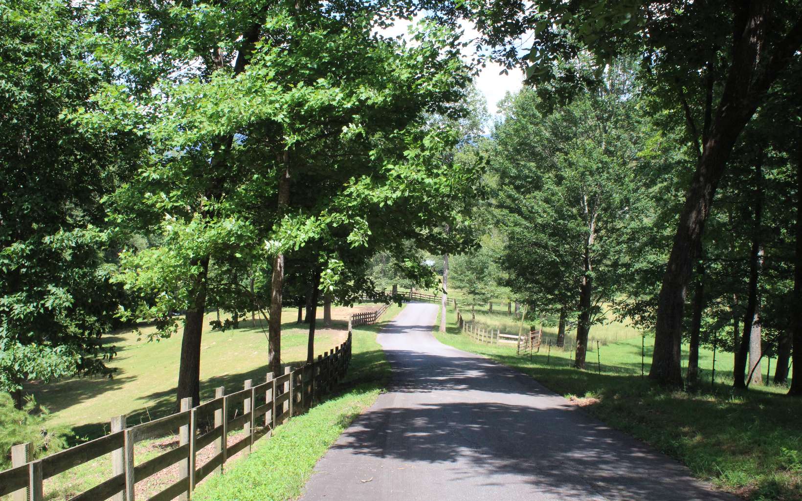 135 Shiloh Ridge Property Photo 9