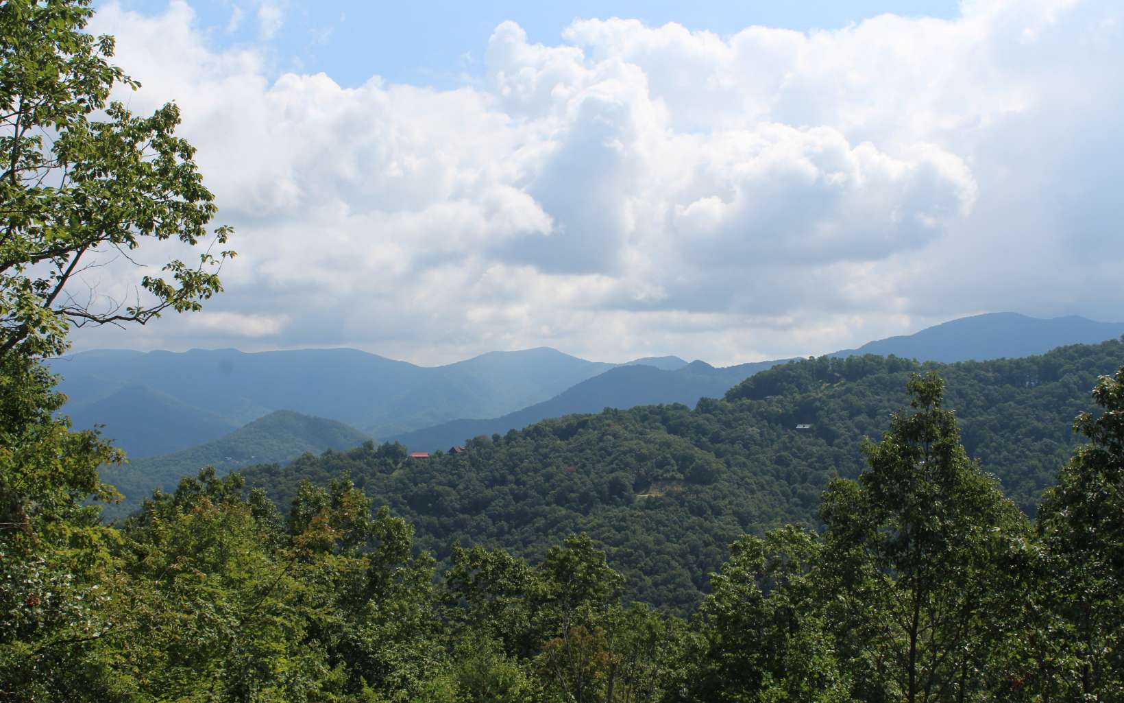 135 Shiloh Ridge Property Photo 11