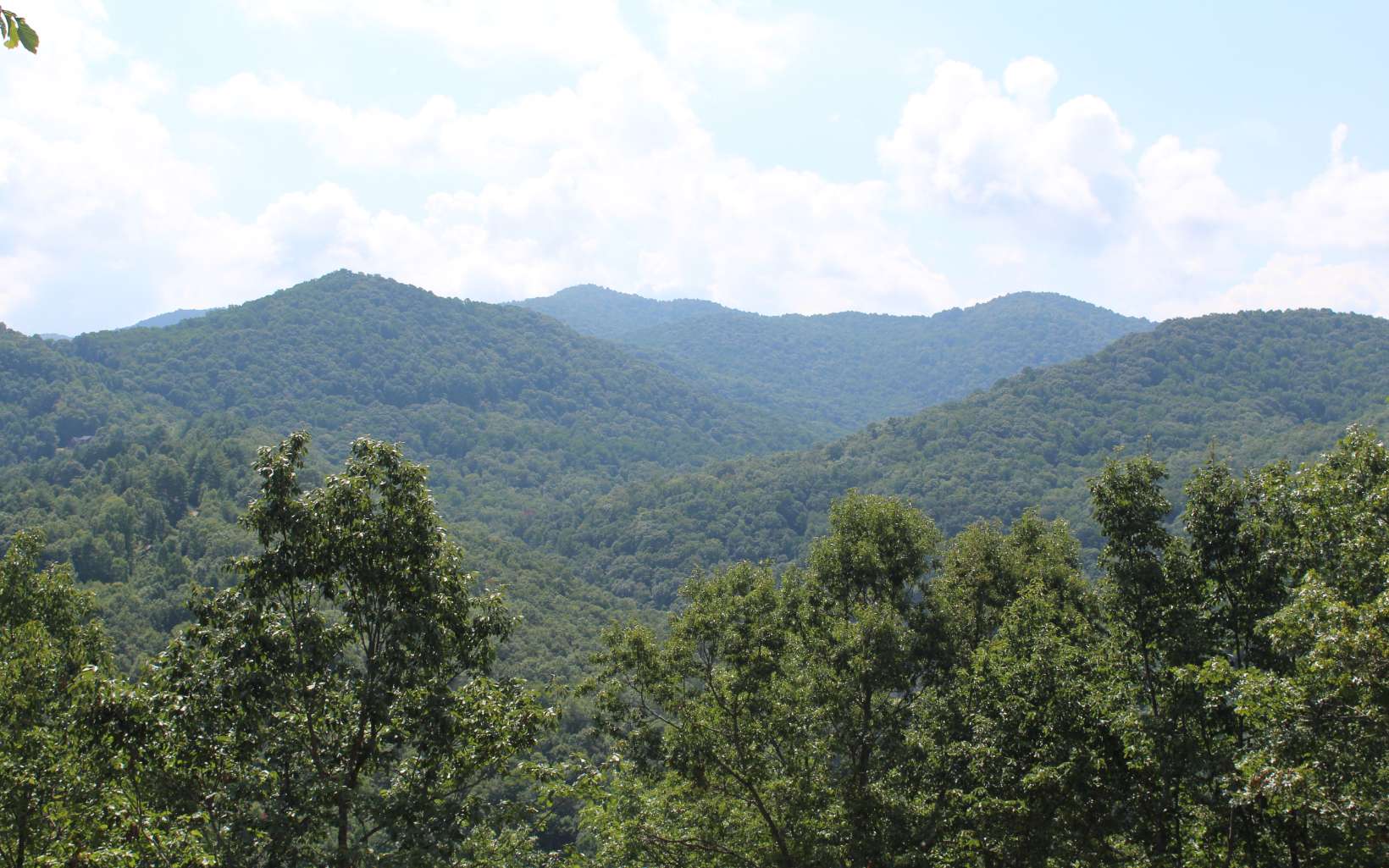 135 Shiloh Ridge Property Photo 12