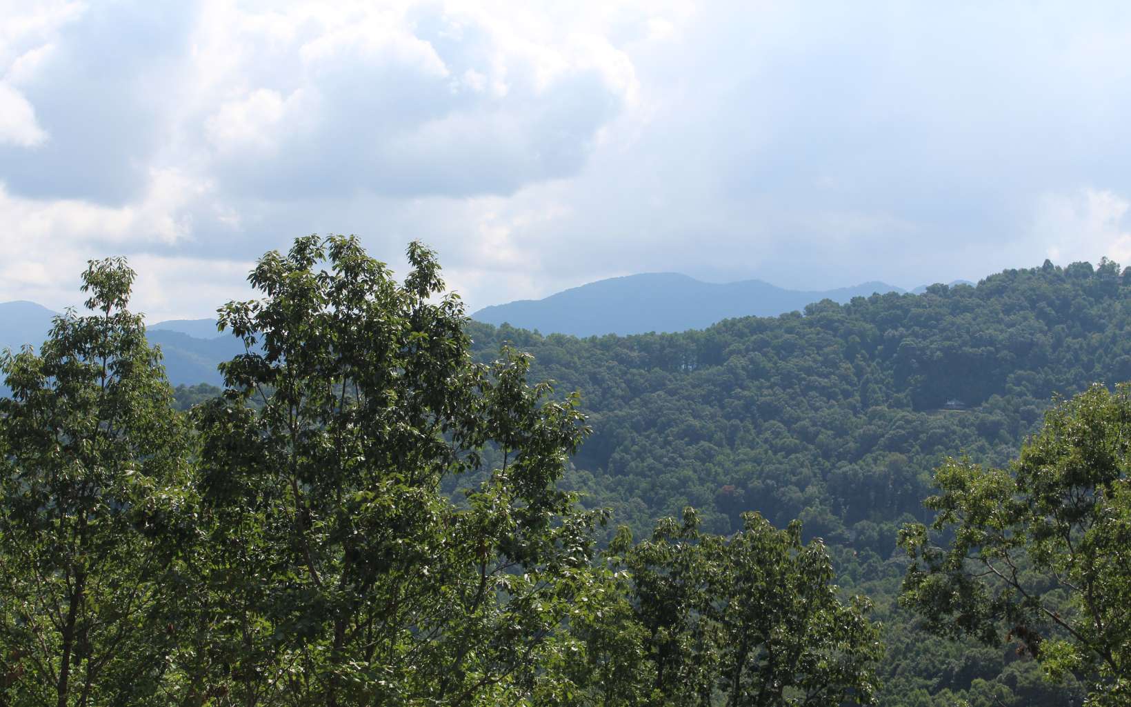 135 Shiloh Ridge Property Photo 15