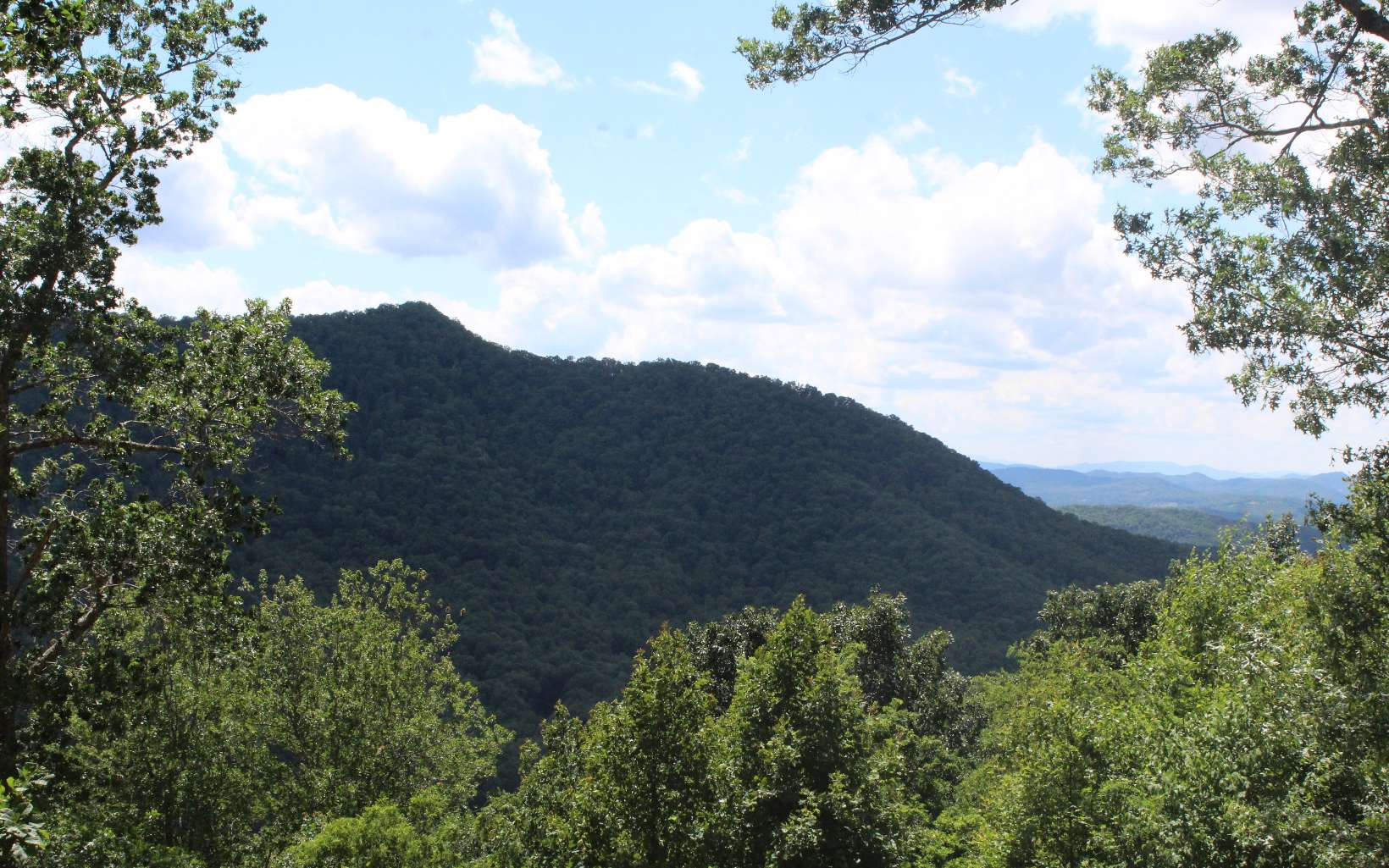 133 Shiloh Ridge Property Photo 1