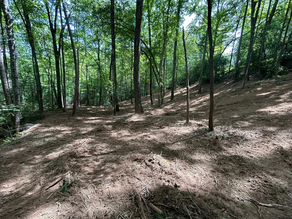 Lot 12a Oak Loop Property Photo 1