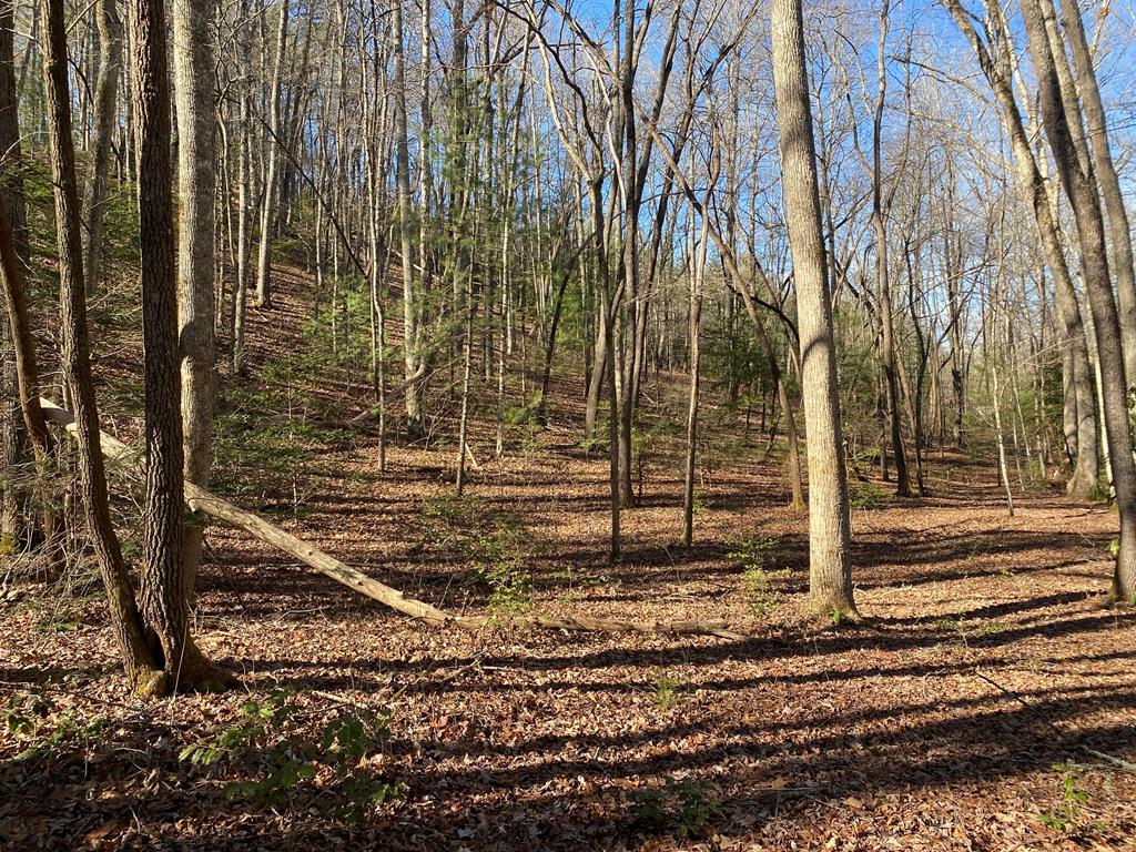 Tbd Wood Collett Cove Property Photo