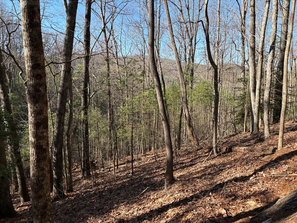Lt 62 Gobblers Knob/laurel Property Photo