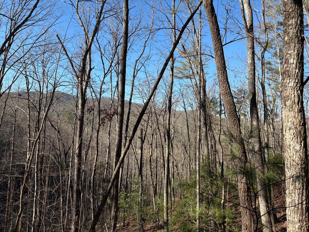 Lt 61 Laurel Trail Property Photo