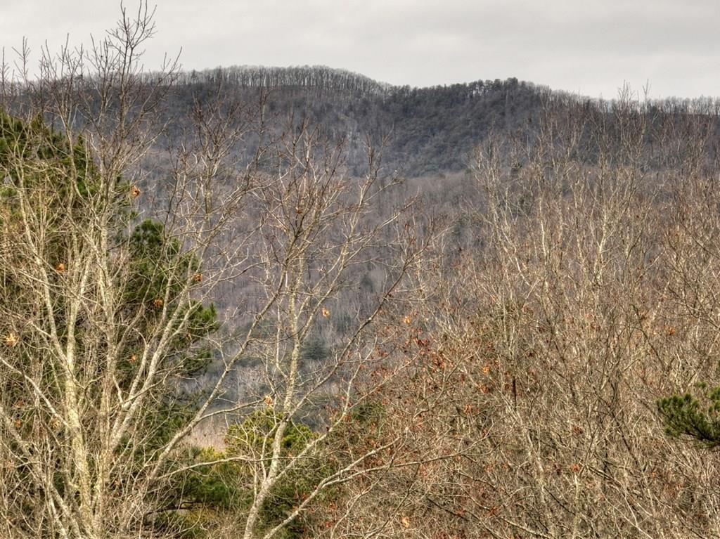 6.44 Acs Woodsong Haven Property Photo