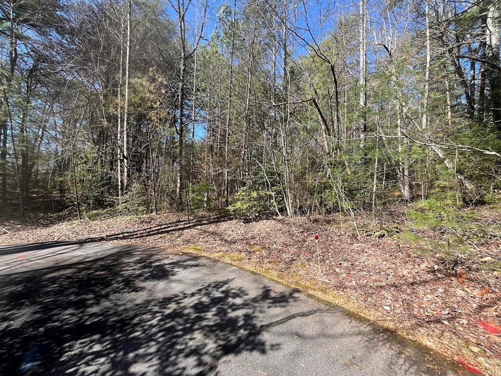 Lot 1 E Licklog Ridge Property Photo 1