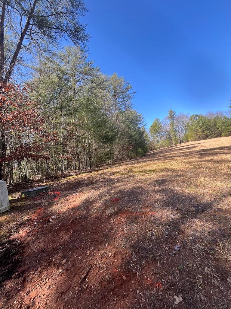 Lot 1 E Licklog Ridge Property Photo 2