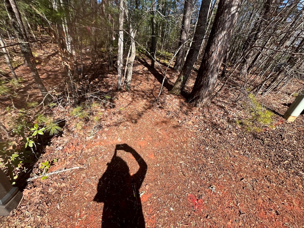 Lot 1 E Licklog Ridge Property Photo 3