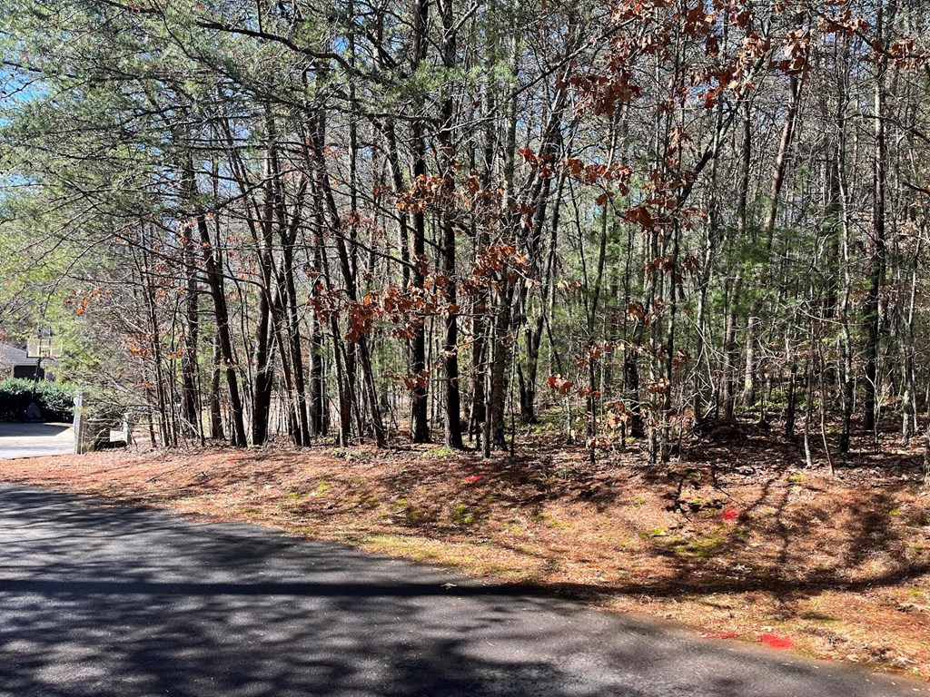 Lot 1 E Licklog Ridge Property Photo 5