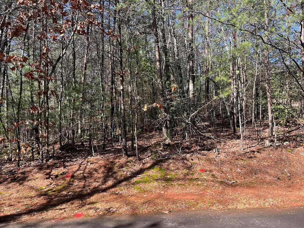Lot 1 E Licklog Ridge Property Photo 6