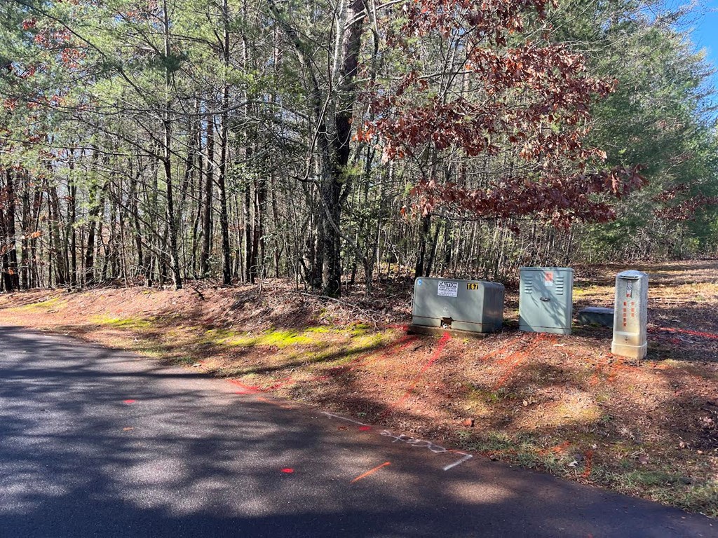 Lot 1 E Licklog Ridge Property Photo 7