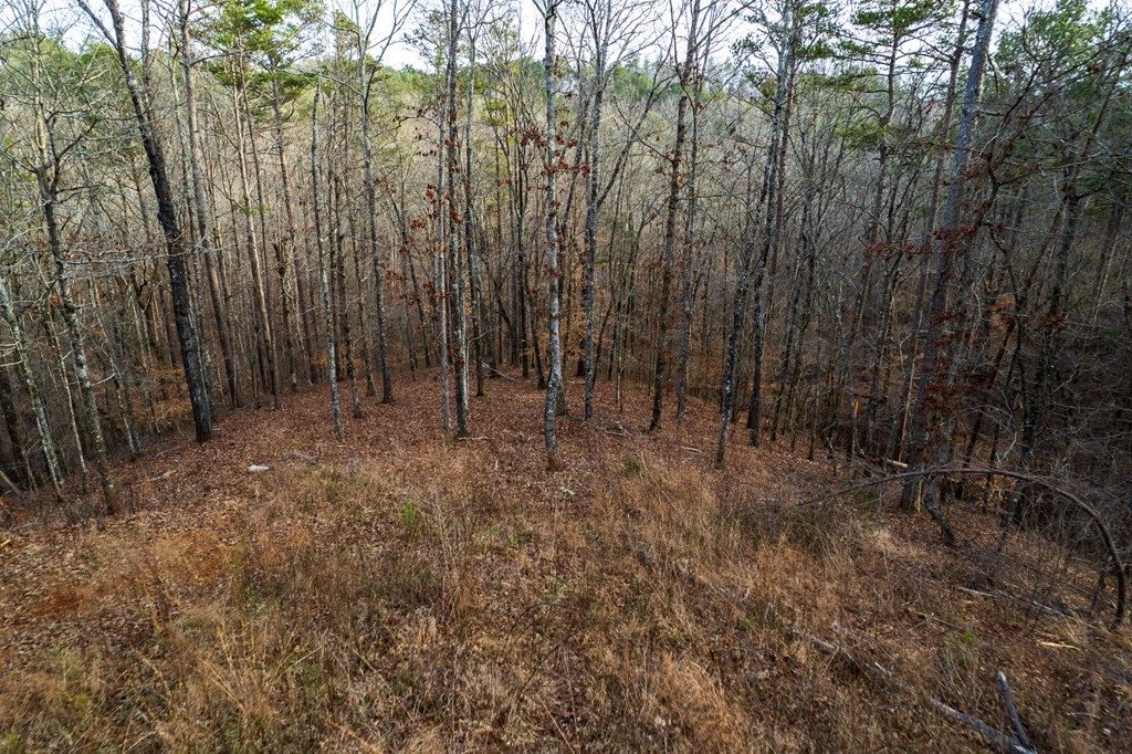 Lot 186 Shelter Cove Trail Property Photo 8