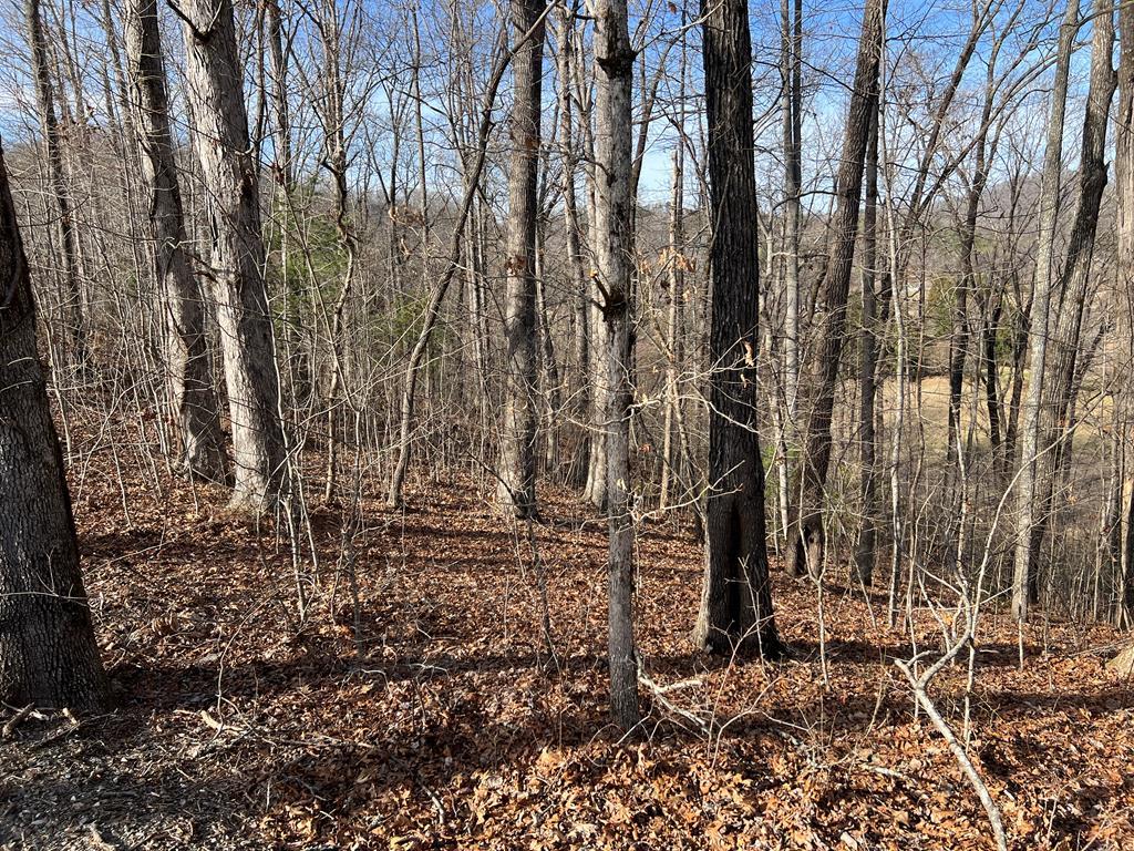 Lot 77A Licklog Ridge Property Photo 1