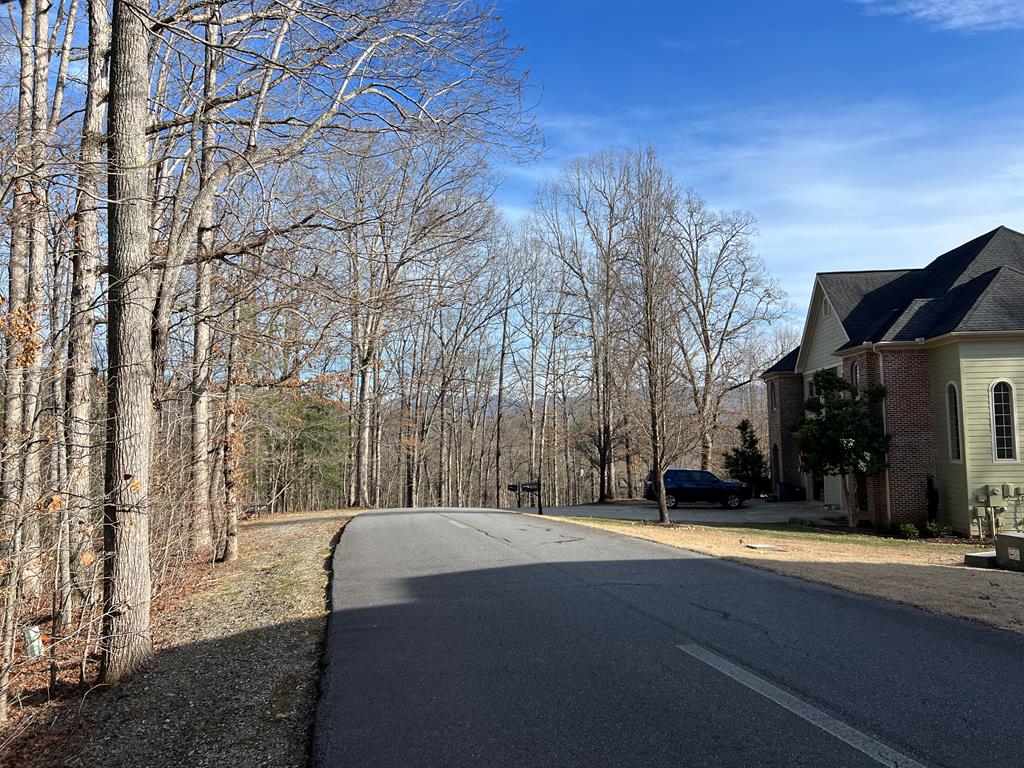 Lot 77a Licklog Ridge Property Photo 13