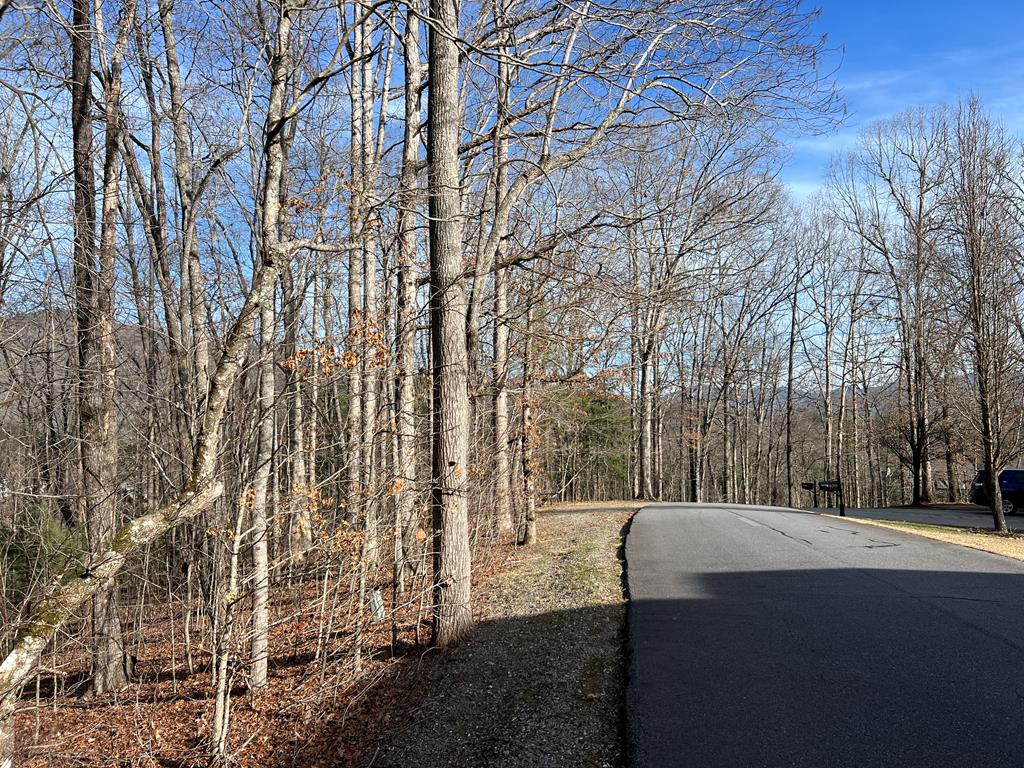 Lot 77a Licklog Ridge Property Photo 14