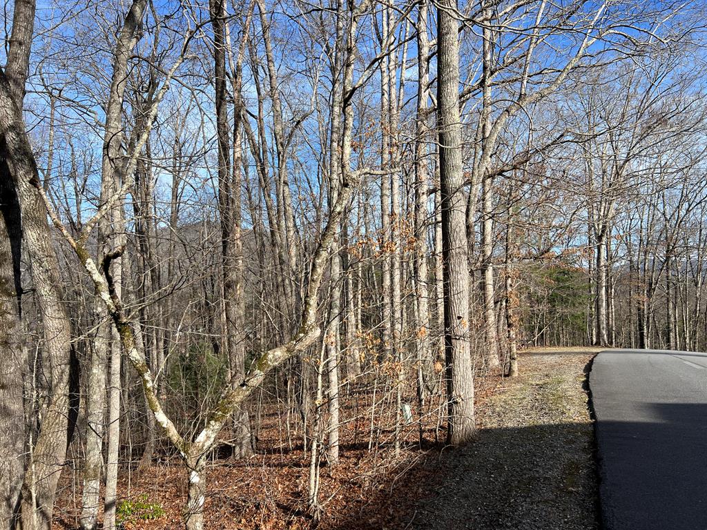Lot 77a Licklog Ridge Property Photo 15