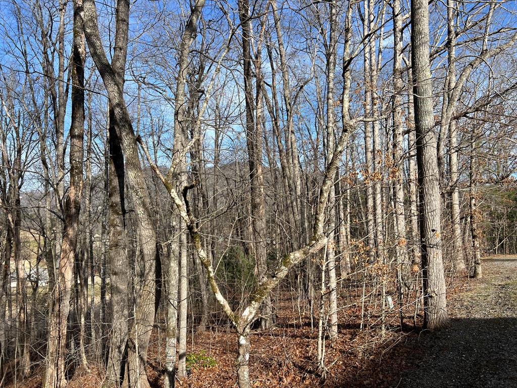 Lot 77a Licklog Ridge Property Photo 16