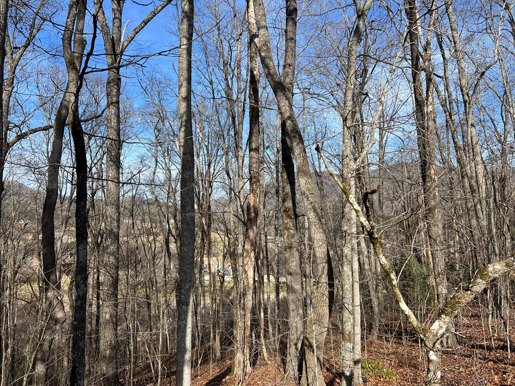 Lot 77a Licklog Ridge Property Photo 17