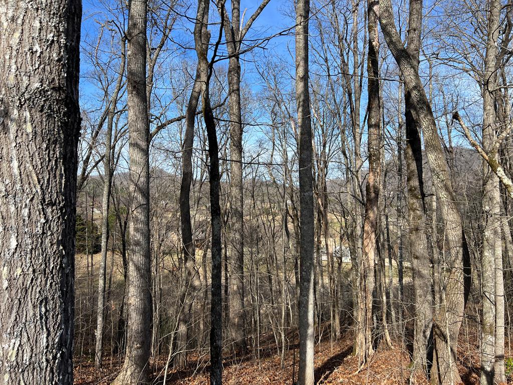 Lot 77a Licklog Ridge Property Photo 19