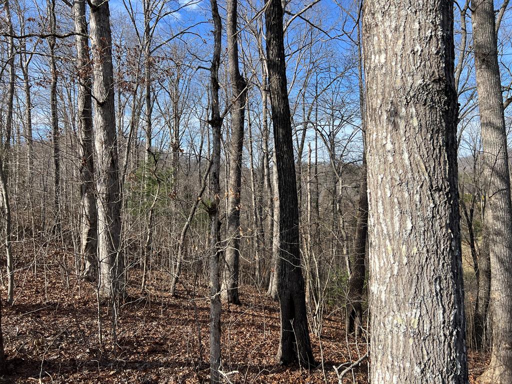 Lot 77a Licklog Ridge Property Photo 22