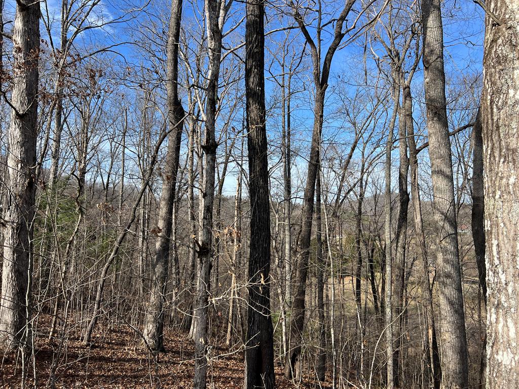 Lot 77a Licklog Ridge Property Photo 23