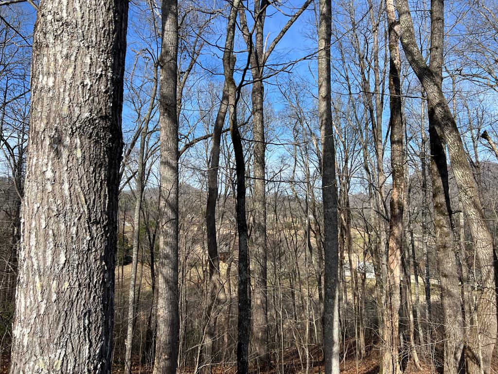 Lot 77a Licklog Ridge Property Photo 31