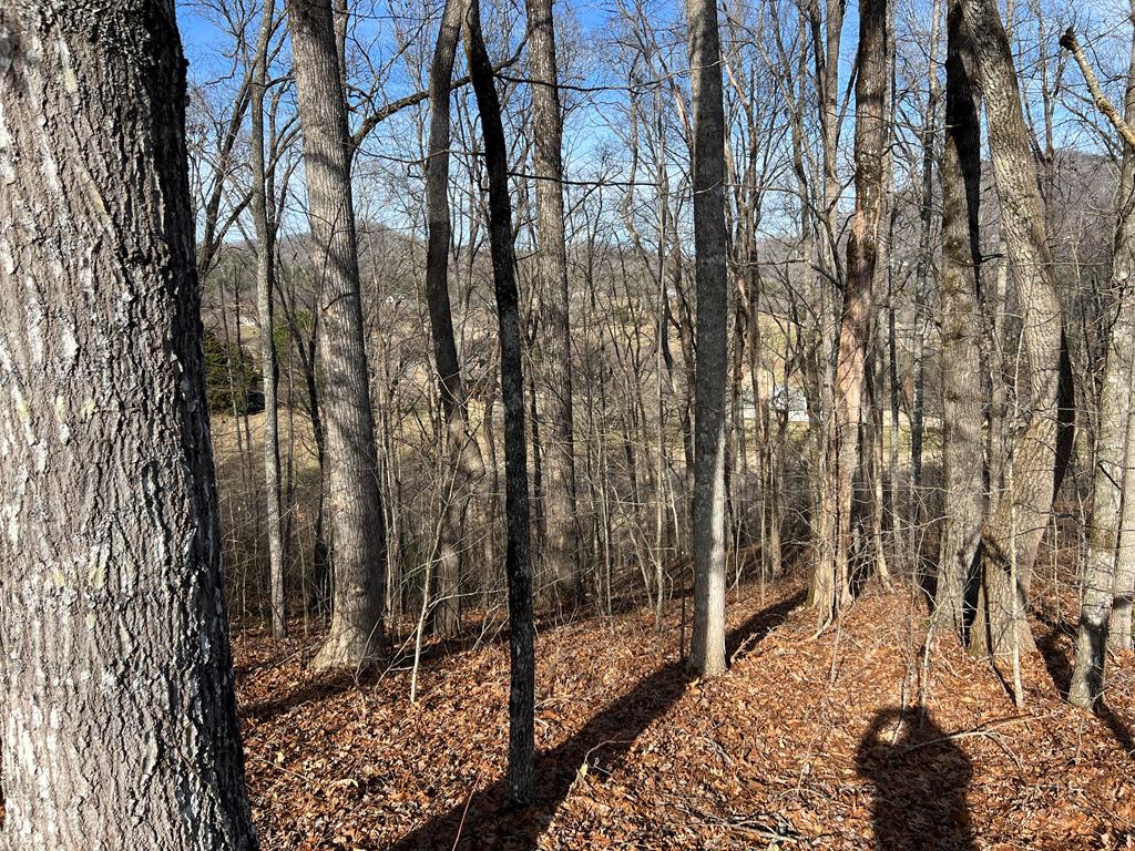 Lot 77a Licklog Ridge Property Photo 32