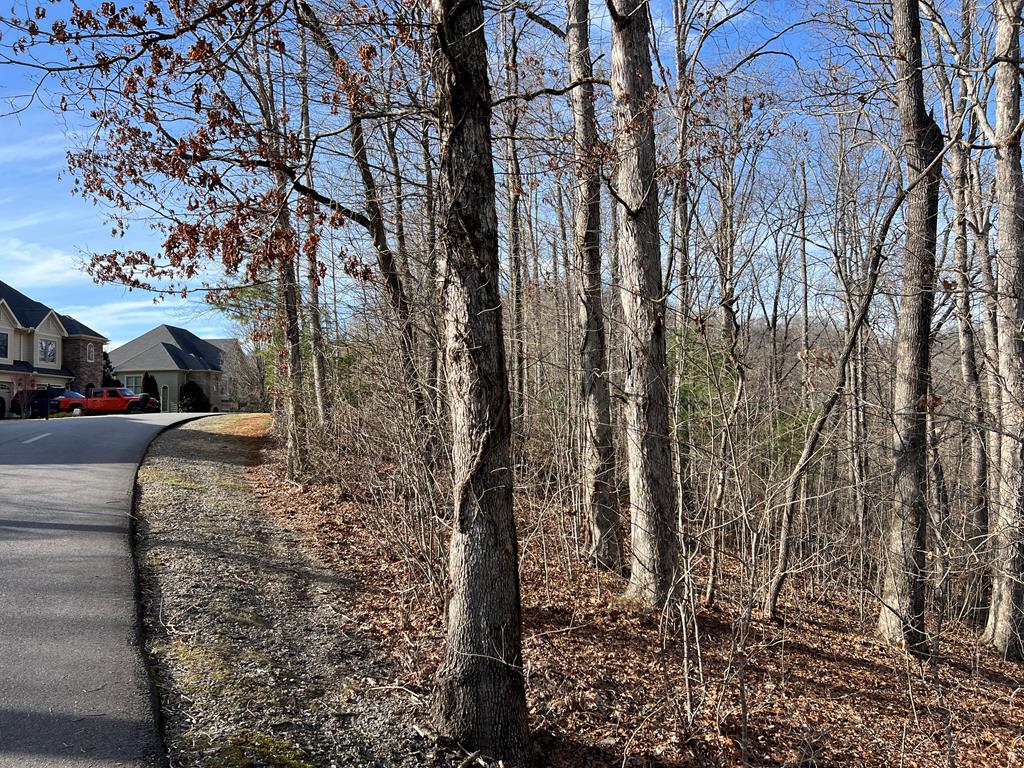 Lot 77a Licklog Ridge Property Photo 33