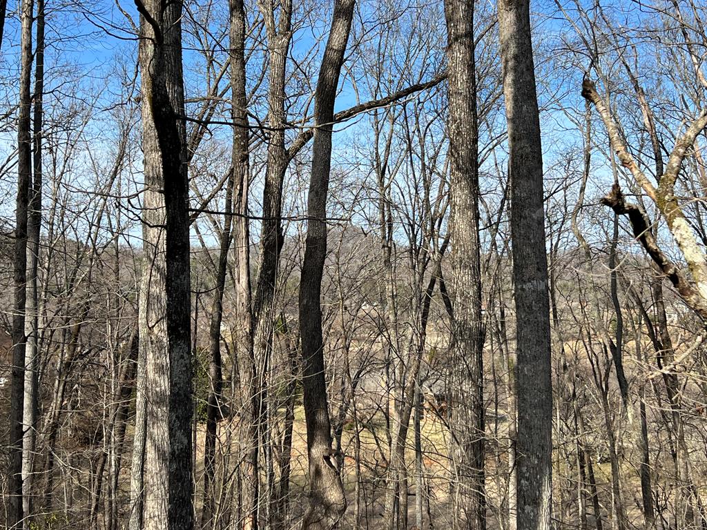 Lot 77a Licklog Ridge Property Photo 41