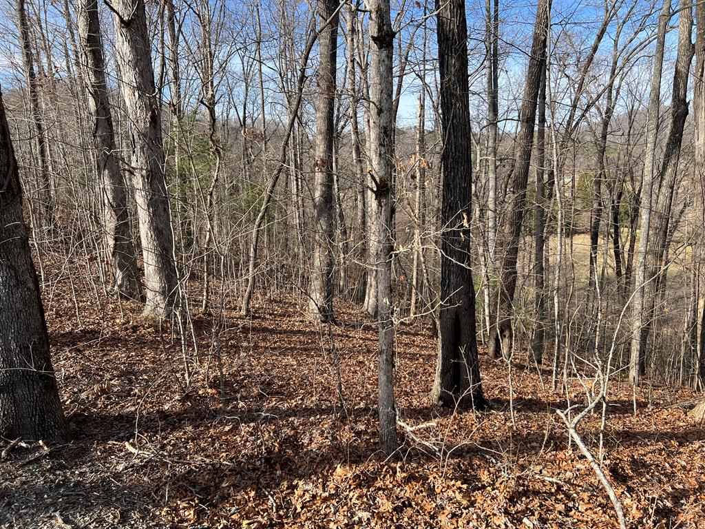 Lot 77a Licklog Ridge Property Photo 42