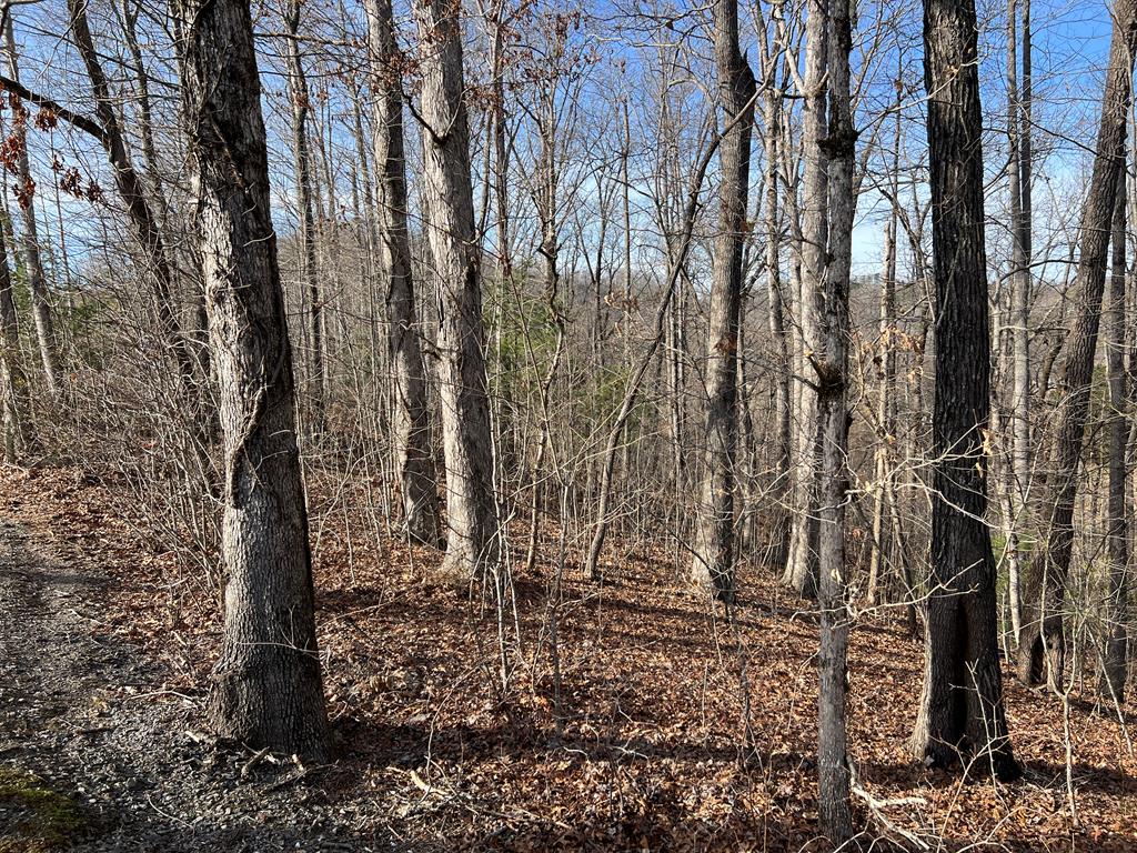 Lot 77a Licklog Ridge Property Photo 43