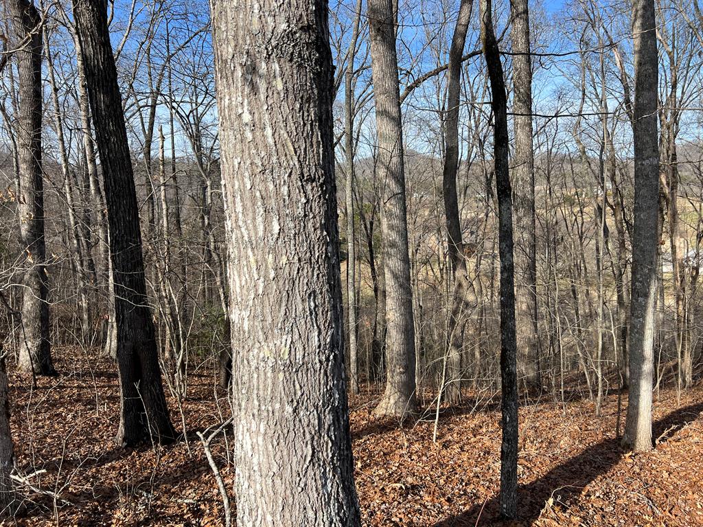 Lot 77a Licklog Ridge Property Photo 45