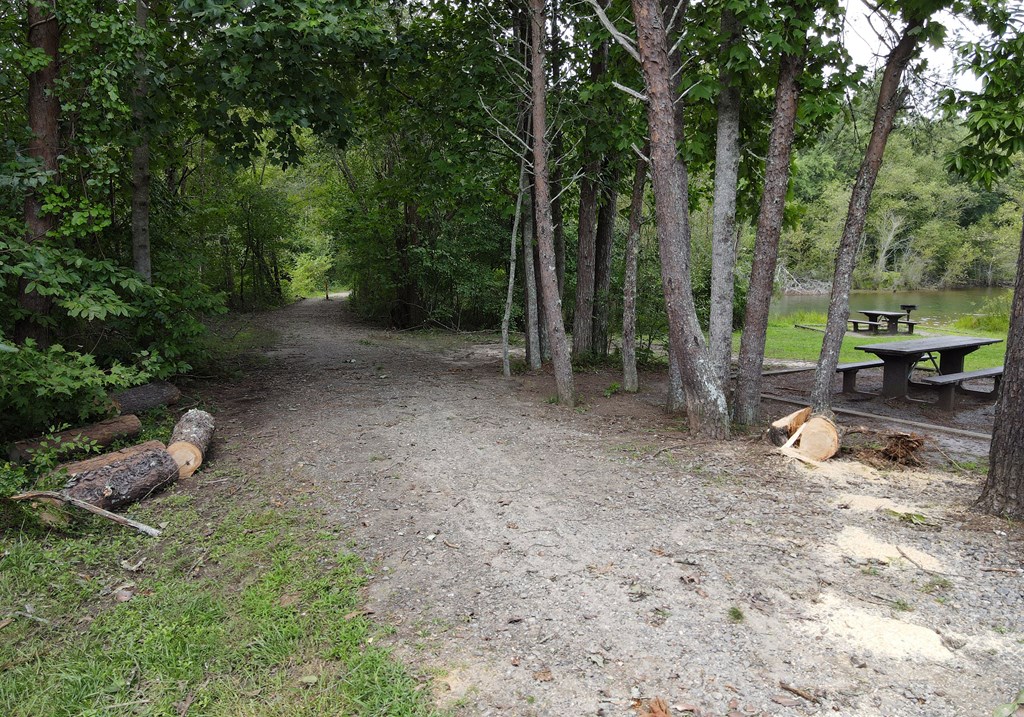 16 Sims Road Property Photo 55