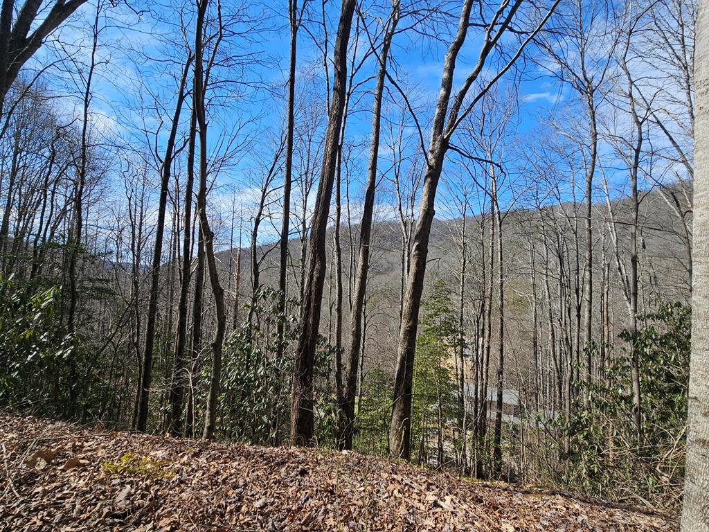 Lot 16 Warrior Way Property Photo