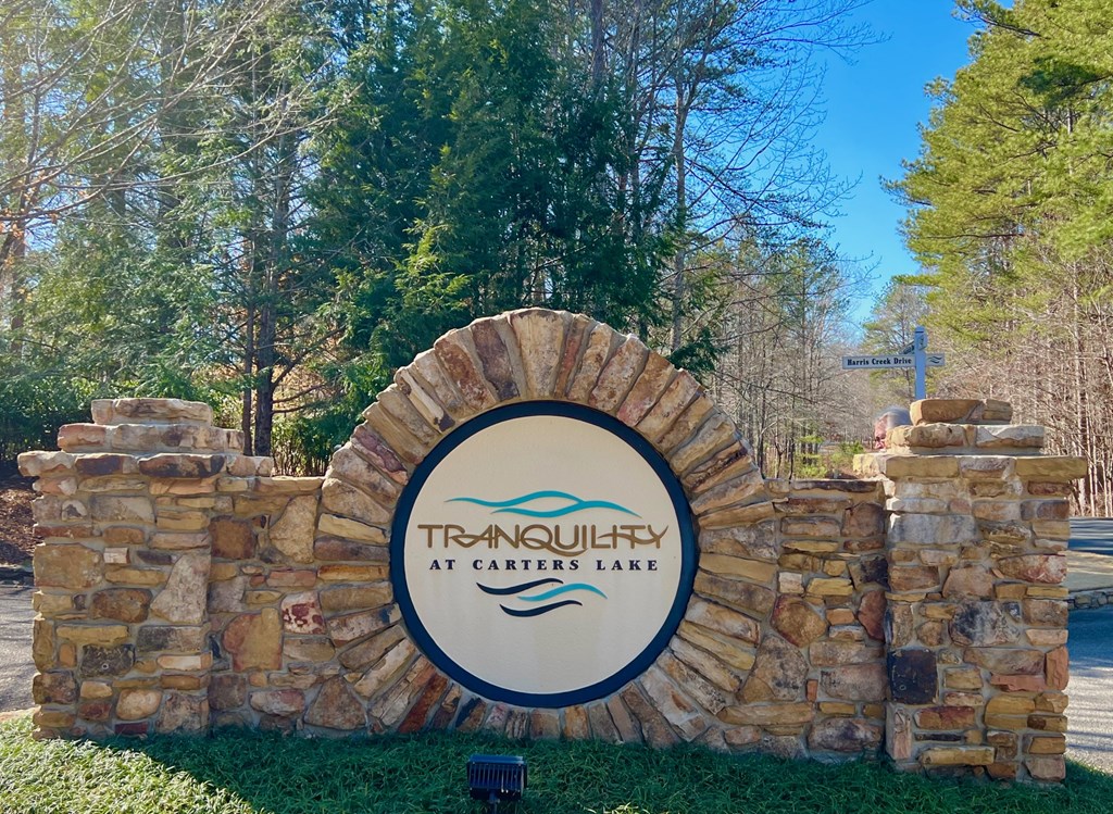 113 Beech Tree Drive Property Photo 3