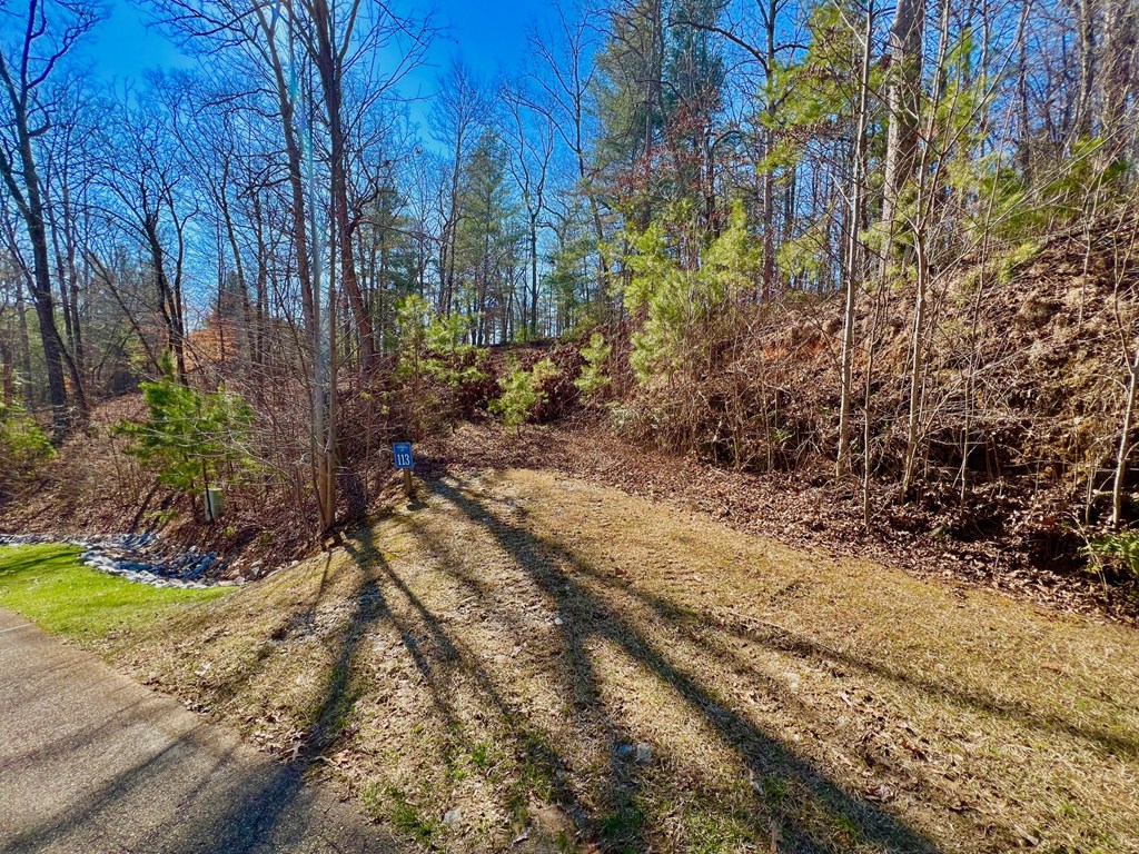 113 Beech Tree Drive Property Photo 4