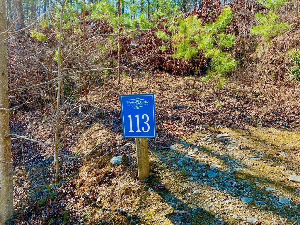 113 Beech Tree Drive Property Photo 11