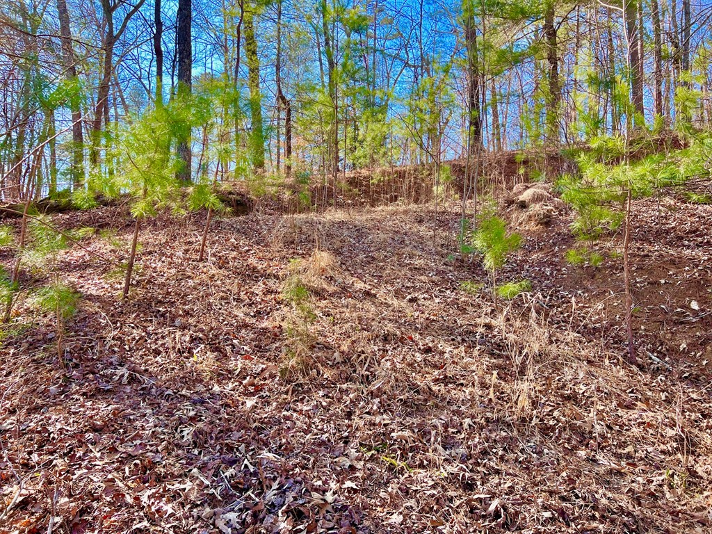 113 Beech Tree Drive Property Photo 15