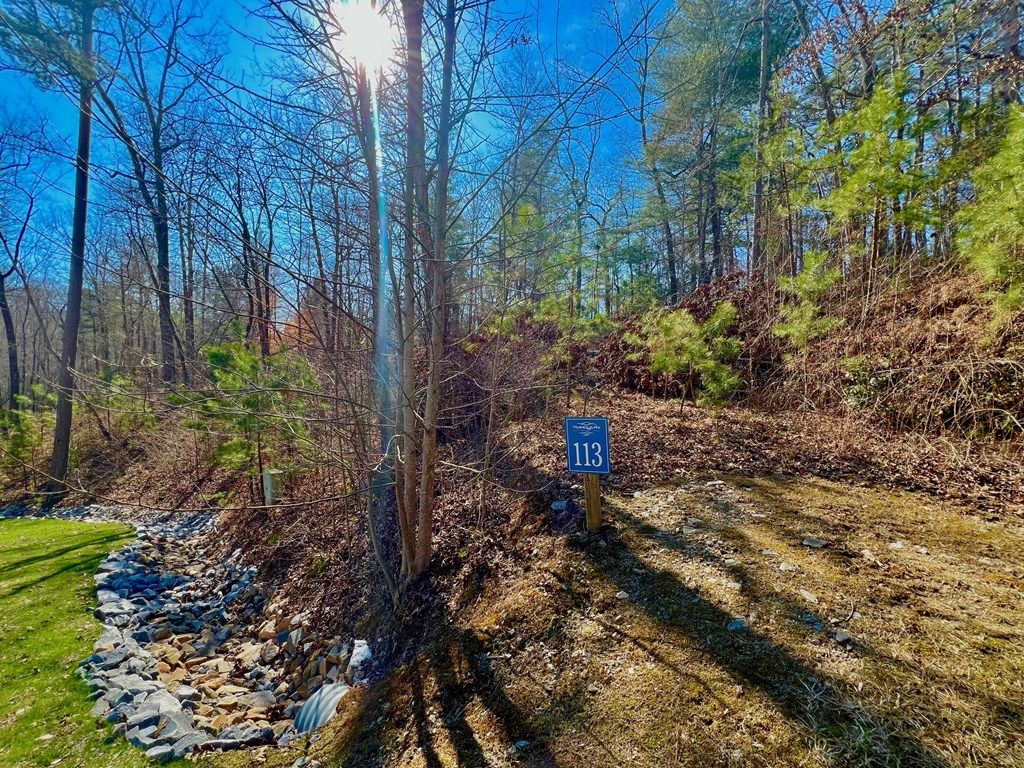113 Beech Tree Drive Property Photo 23
