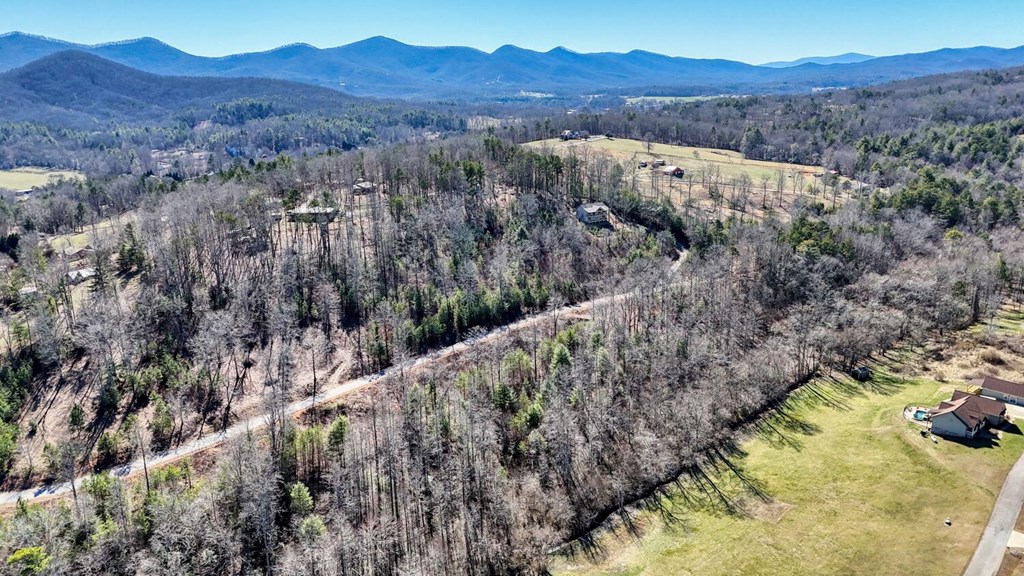 Lot 42 Coras Way Property Photo 11