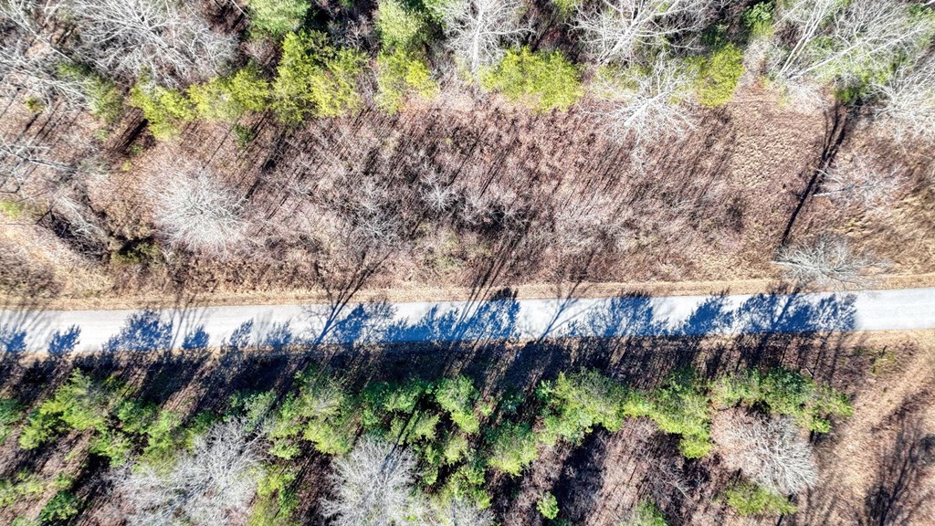 Lot 42 Coras Way Property Photo 19