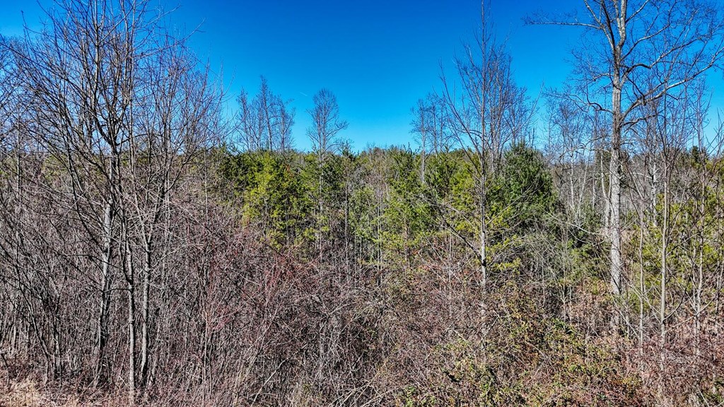 Lot 42 Coras Way Property Photo 20