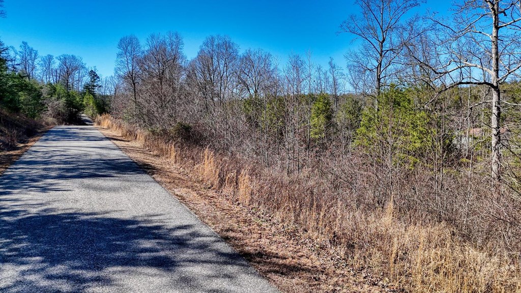 Lot 42 Coras Way Property Photo 21
