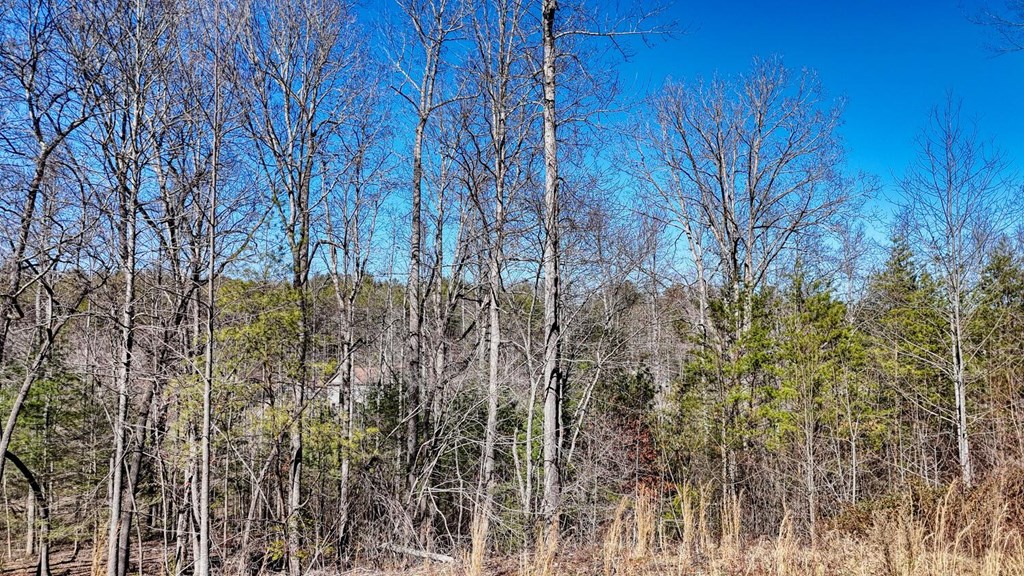 Lot 42 Coras Way Property Photo 22