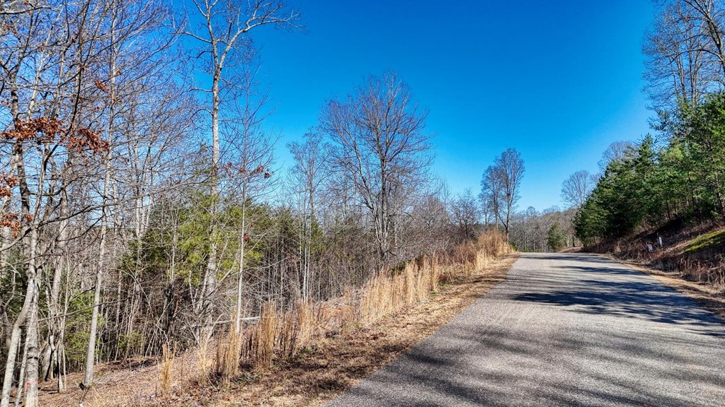Lot 42 Coras Way Property Photo 23