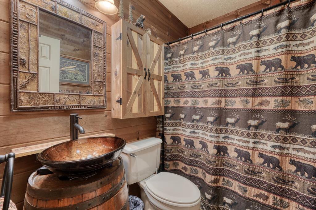 523 Lake Nottely Drive Property Photo 21