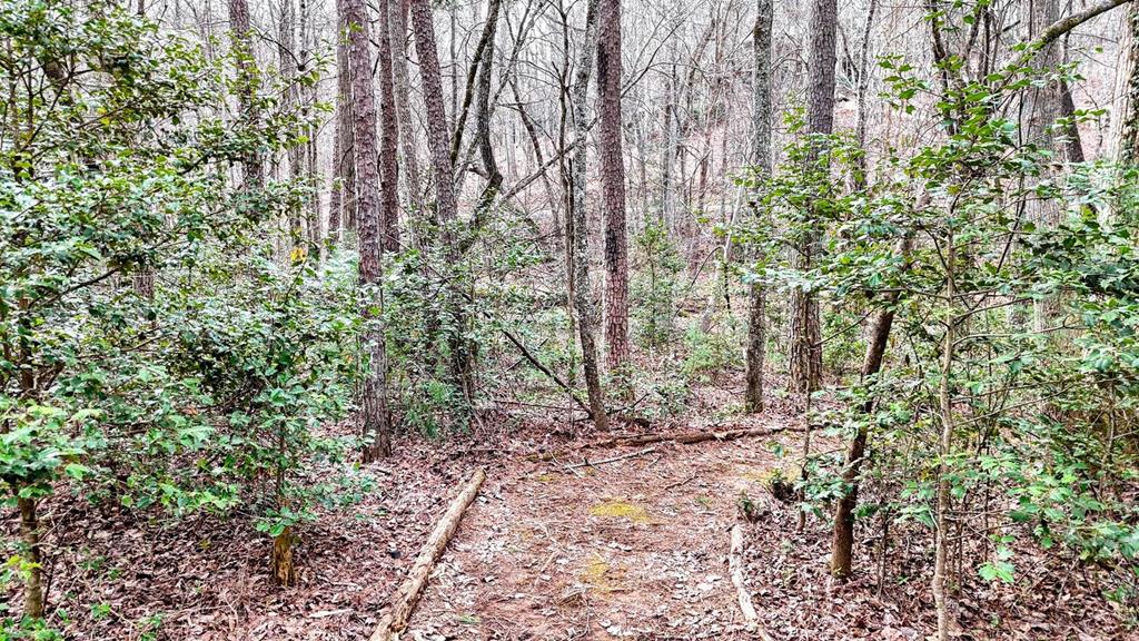 523 Lake Nottely Drive Property Photo 26