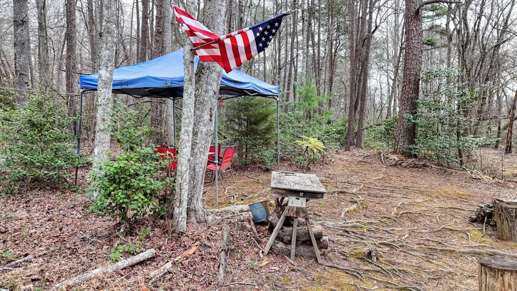 523 Lake Nottely Drive Property Photo 29