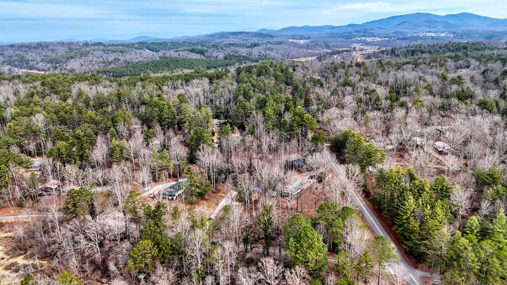523 Lake Nottely Drive Property Photo 36